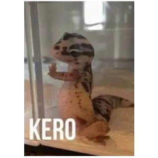 🦎 emoji Memes Zap Telegram sticker 24 of 120