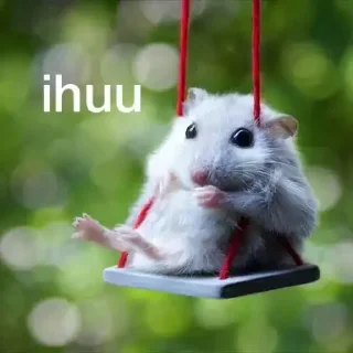 🐭 emoji Memes Zap Telegram sticker 6 of 120