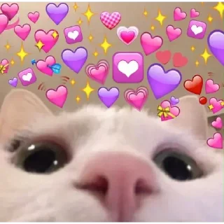 ❤️ emoji Zona norte bbs Telegram sticker 8 of 39