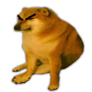 😤 emoji Zona norte bbs Telegram sticker 19 of 39