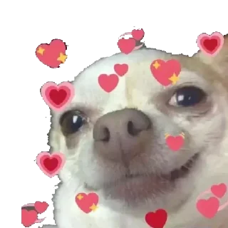 💕 emoji Zona norte bbs Telegram sticker 23 of 39