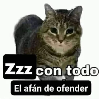Sticker from Zzz