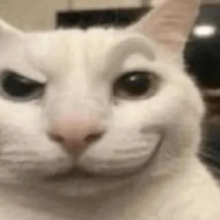 🤨 emoji miau Telegram sticker 5 of 44