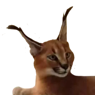 🤨 emoji Floppa (Caracal) Telegram sticker 6 of 30