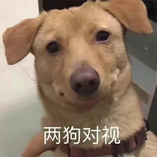 🧚 emoji 里世界 @SM588 Telegram sticker 10 of 36
