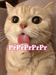 😗 emoji 北京电报群 @bjtgq @bjbjbj Telegram sticker 15 of 120