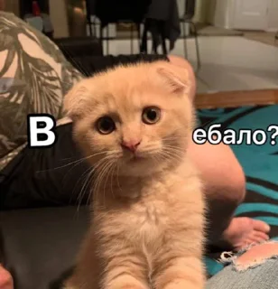 😋 emoji путаны соло Telegram sticker 19 of 70