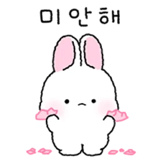 💬 emoji 토찌는 하뚜하뚜해 2 By @KakaoEmoticon Telegram sticker 13 of 24