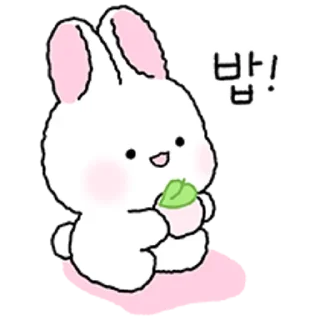 💬 emoji 토찌는 하뚜하뚜해 2 By @KakaoEmoticon Telegram sticker 23 of 24