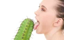 🌵 emoji Stock Photos Telegram sticker 6 of 50