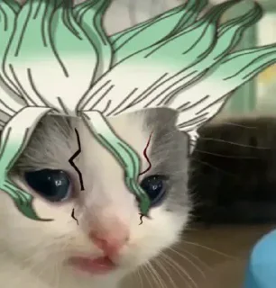 🤯 emoji Gatinhos @moon131203 Telegram sticker 22 of 41