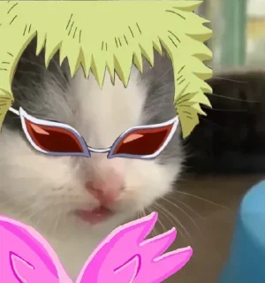 😎 emoji Gatinhos @moon131203 Telegram sticker 8 of 41