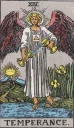 🃏 emoji Waite's Tarot Telegram sticker 15 of 78