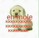 😂 emoji Autismo do @anunaki Telegram sticker 4 of 50