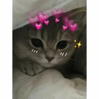 ❣ emoji 🥵👑 𝑻𝒐𝒙𝒊𝒄𝒂  𝑽𝑽𝑹𝑹 🥵👑 — @stckrRobot Telegram sticker 9 of 120