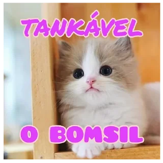 🐱 emoji Canal SEMNOME Telegram sticker 12 of 33