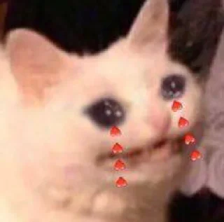 🥺 emoji gatinhos triste Telegram sticker 11 of 26
