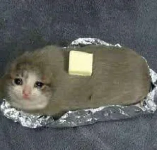 🥺 emoji gatinhos triste Telegram sticker 13 of 26