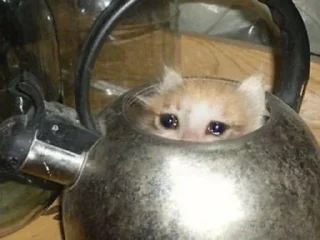 🥺 emoji gatinhos triste Telegram sticker 19 of 26