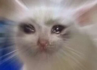 Sticker from gatinhos triste