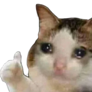 🥺 emoji gatinhos triste Telegram sticker 8 of 26