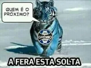 ⚽️ emoji Futebol Shitpost Telegram sticker 11 of 38