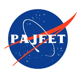 Sticker from Space Pajeet