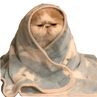 😒 emoji Stickers Robados Telegram sticker 6 of 54