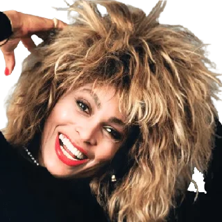 😄 emoji Tina Turner Telegram sticker 2 of 9