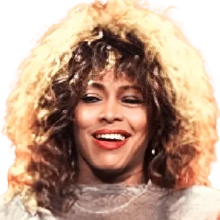 😏 emoji Tina Turner Telegram sticker 4 of 9