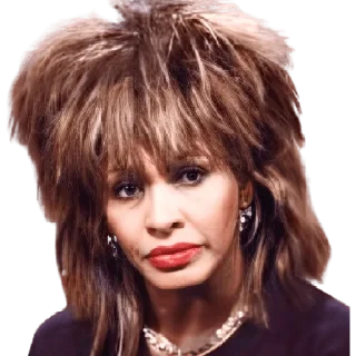 😒 emoji Tina Turner Telegram sticker 9 of 9
