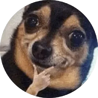 🤔 emoji D todo Telegram sticker 6 of 120
