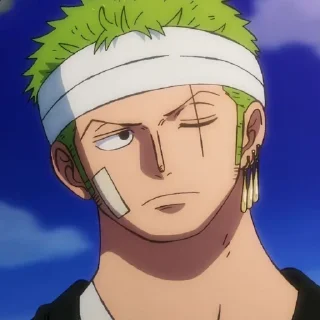 😕 emoji One piece @Zoro_sts Telegram sticker 8 of 57