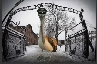 Sticker from Nigger bird