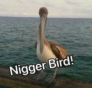🐦 emoji Nigger bird Telegram sticker 5 of 17