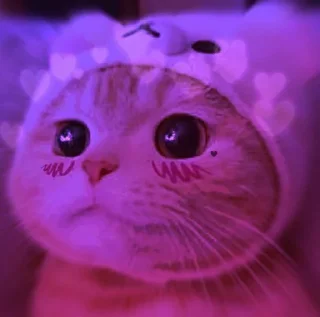 😊 emoji ✨𝆺𝅥⃞ͪ⃞⃞⃞͛⃞ ͣ ͬˢᵃᵐ ᵏⁱ ᵇⁱˡˡⁱ @Shahajadii Telegram sticker 8 of 30