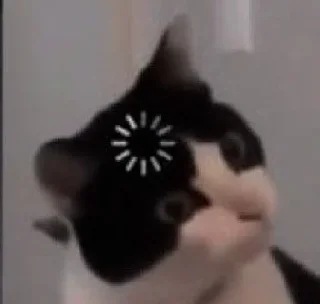 © emoji cing @arsipkapuy Telegram sticker 24 of 26