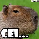 😒 emoji Capivah | @Aluci88 ✨ Telegram sticker 15 of 120