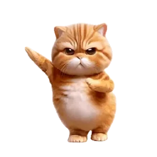 😊 emoji 動感舞星 - 強迫營業 (橘貓) @kal_pc Telegram sticker 22 of 24
