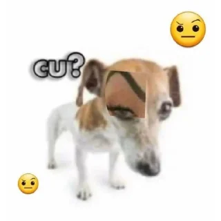 👌 emoji fodase Telegram sticker 6 of 31
