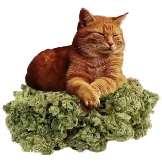 ☺ emoji Stkrs Telegram sticker 12 of 25