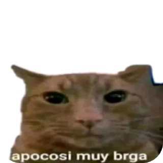 🐱 emoji Soulless Telegram sticker 4 of 68