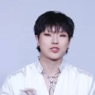 🦜 emoji Hanse by @aratickers Telegram sticker 11 of 30