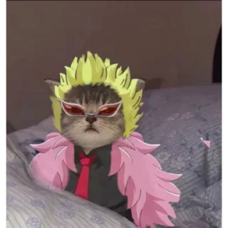 😼 emoji By: @Zoro_sts Telegram sticker 6 of 15