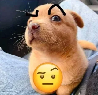 🤨 emoji @AN0N1M_z Telegram sticker 19 of 120