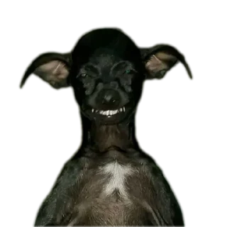 😀 emoji Zambada sexosos goloso Telegram sticker 8 of 29
