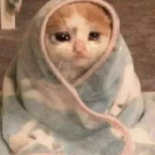 😢 emoji ô fuleragem Telegram sticker 8 of 94