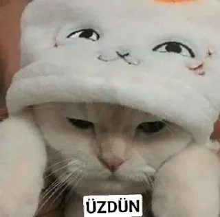 🌟 emoji @slmbneonur @AsenaUserBot Paketi 1 Telegram sticker 11 of 73