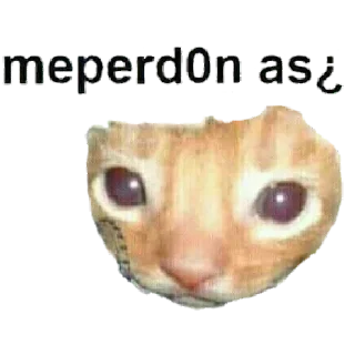 😿 emoji jjong loml Telegram sticker 24 of 113