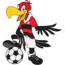 👍 emoji Flamengo Oficial Telegram sticker 3 of 16